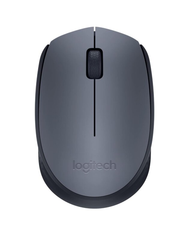 Logitech M170 Wireless Optical Mouse