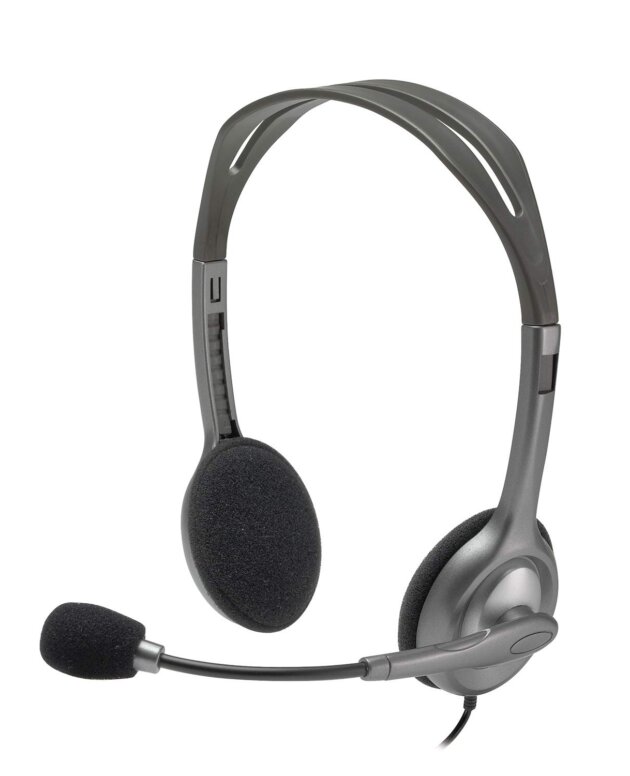 Logitech H110 Headphone with Mic