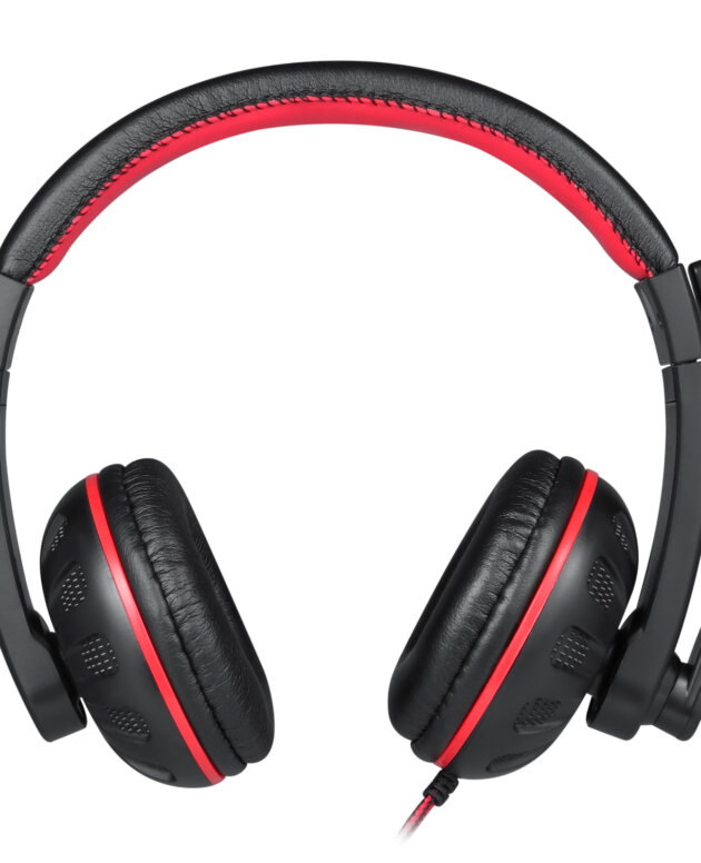 Enter Spartan Wired Headphone with Mic